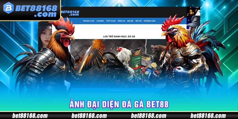 ảnh đại diện đá gà bet88